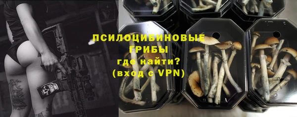 бошки Балахна