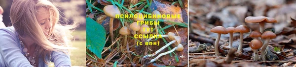 бошки Балахна