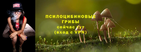 экстази Баксан